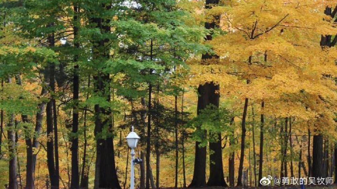 60岁阿姨离婚后的状态